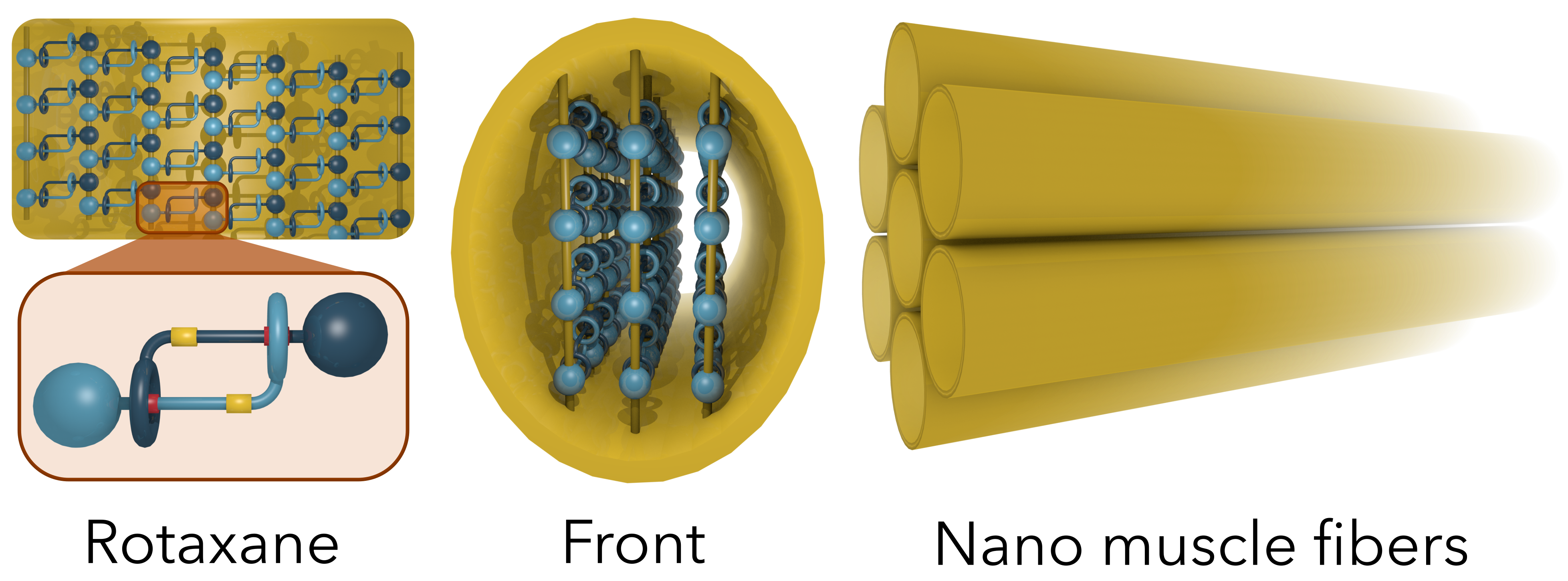 nanomuscle-prototype